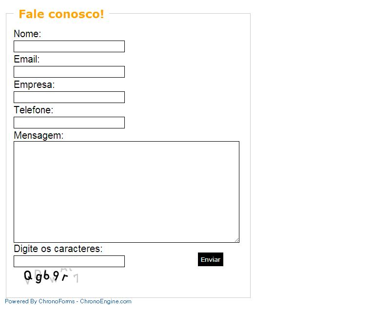 Visão do frontend do formulário criado