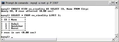 sql-24-04-2008pic02.JPG