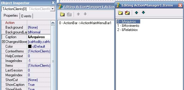 Propriedades que serão utilizadas nessa etapa, Caption e Items (TActionClients)