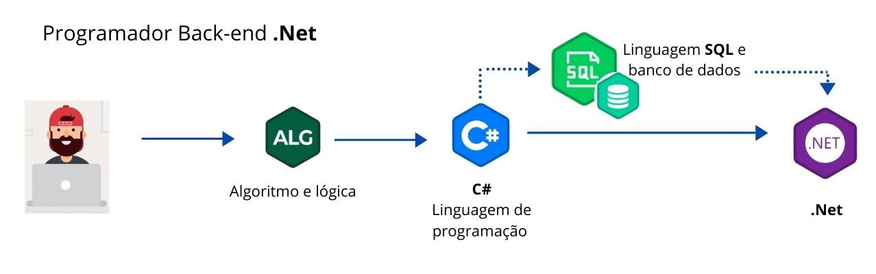 Plano de estudo