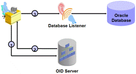 Estrutura do Servidor OID (OID Server)