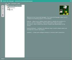 Tela inicial do Net Manager