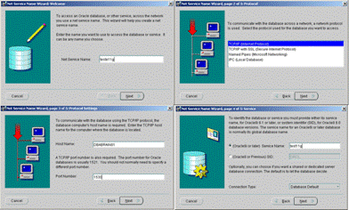 Adicionando um banco de dados no Net Manager