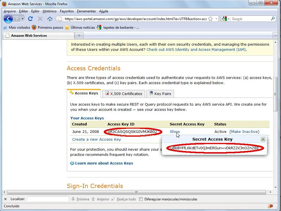 Recuperando as credenciais Access Key ID e Secret Access Key