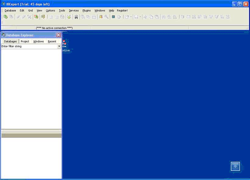 Janelas do IB Expert