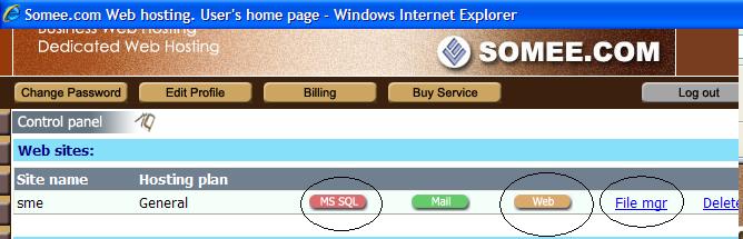 Site Somee