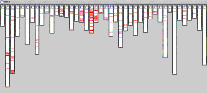 image006.gif