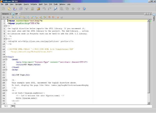 Editor de template JSP maximizado.