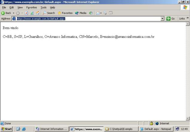 Acesso permitido e os dados do certificado exibidos