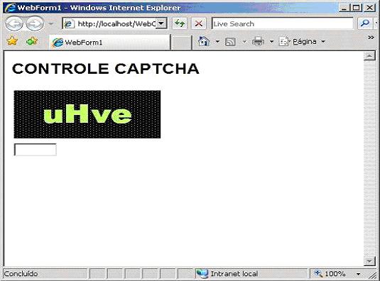 captchanetmagfig01.JPG