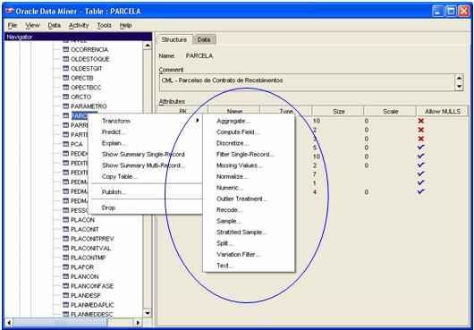 Op��es de Transforma��o para an�lise de dados gerenciais