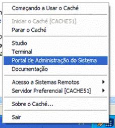 Clique no cubo de Cach > Portal de Administrao do Sistema.