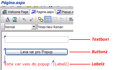paginaaspx.gif