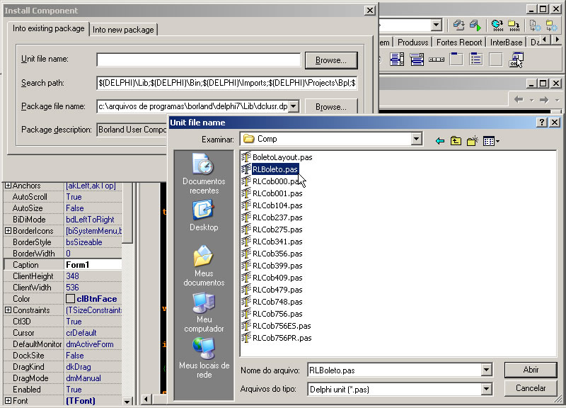 Adicionando o .pas na Package