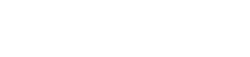 DevMedia Group